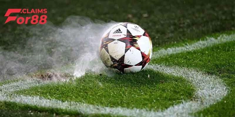 Mơ Thấy Rắn – Những Dấu Hiệu Cảnh Báo Tương Lai Cần Chú Ý