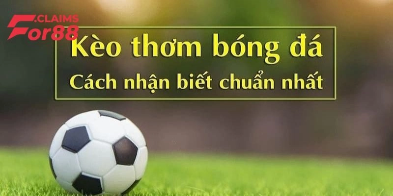 Bí kíp nhận biết kèo thơm cực chuẩn