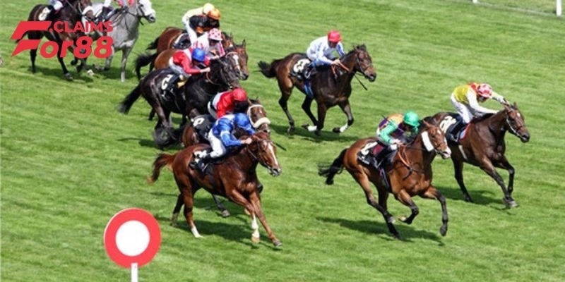 Cược 2 ngựa về nhất và nhì