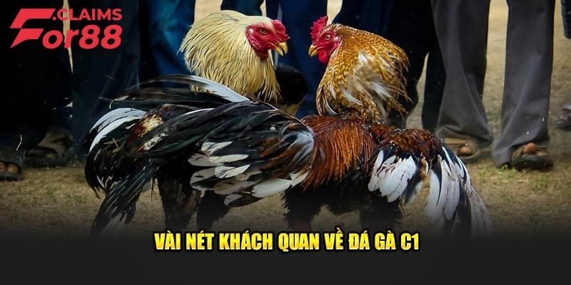 Trực tiếp đá gà C1 được hiểu là gì?