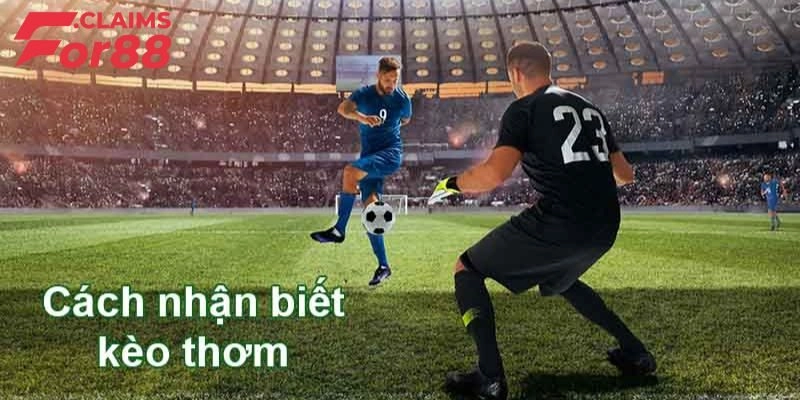 Kèo thơm có những dấu hiệu nhận biết nào?