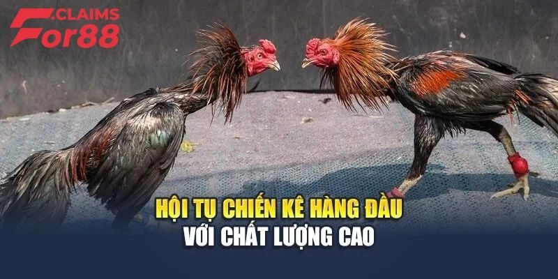 Tận hưởng các tính năng hot